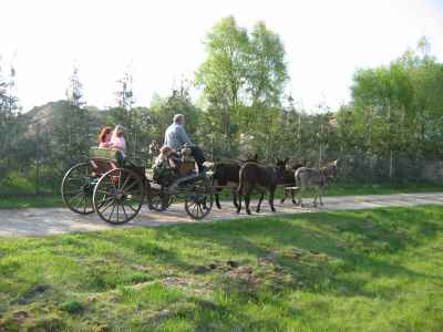 4 Sp�nnig