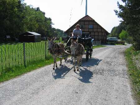 2-spaennig