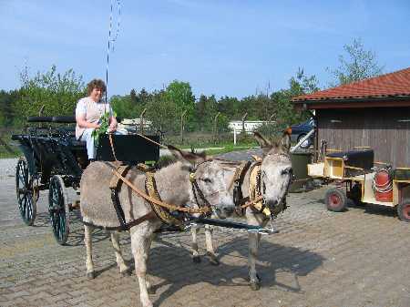 2-spaennig