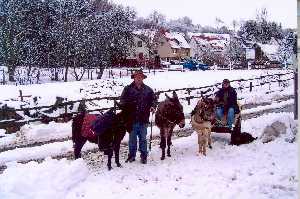 Hüser2